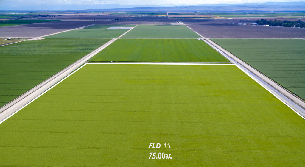 Super Simple Farm Field Mapping with a Quick Map Sharing | AgNote