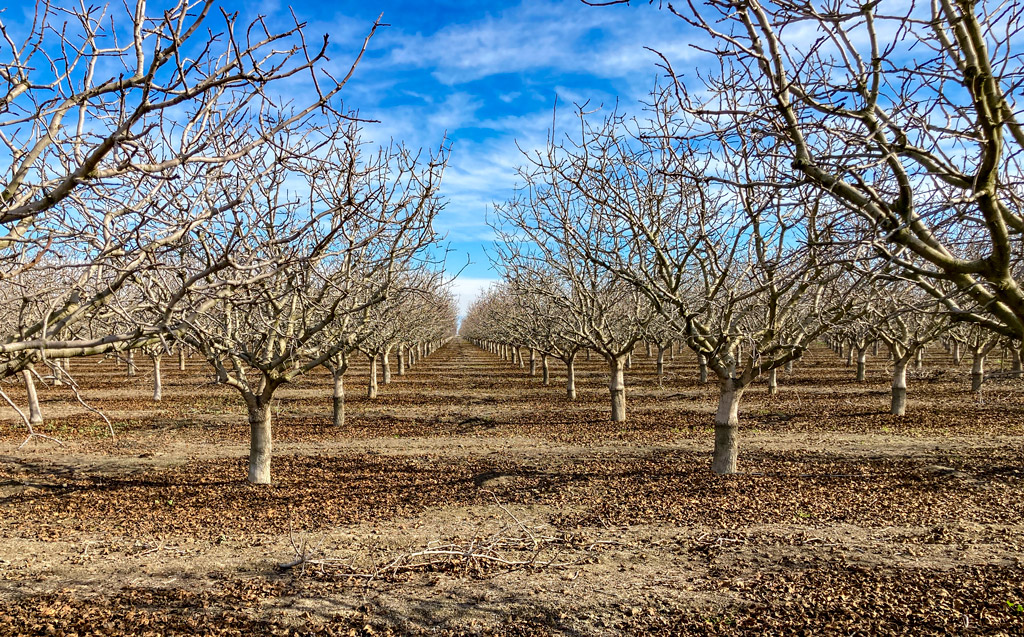 Ways to Quickly Capture and Share Field Scouting Results? AgNote