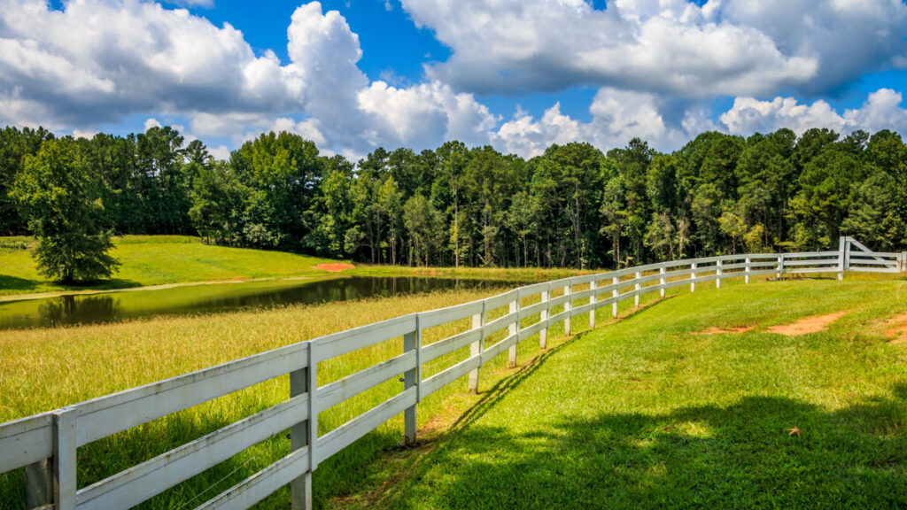 Farm with forest in background