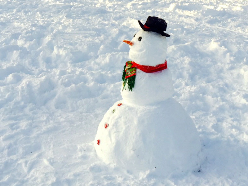 Snowman and National Carrot Day