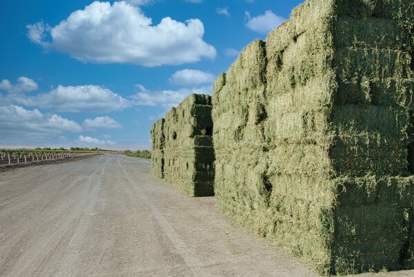 image of haystacks in annual harvest view