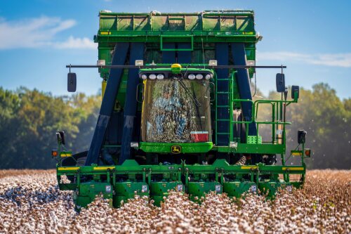 Cotton picking farm task