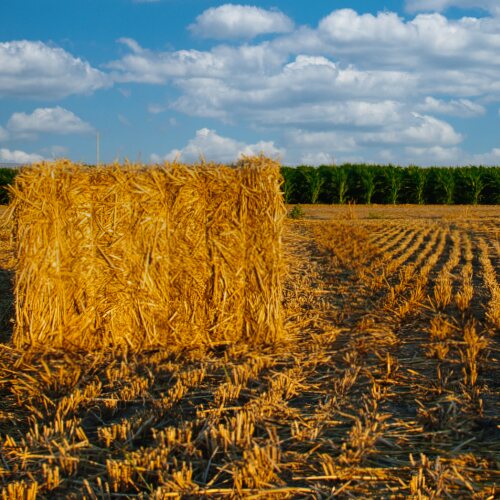 Annual harvest view in AgNote