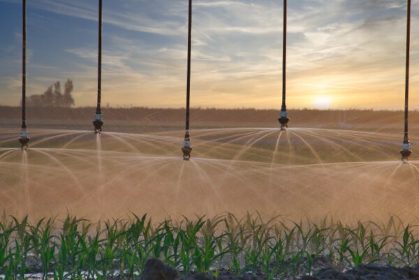 Center pivot irrigation management