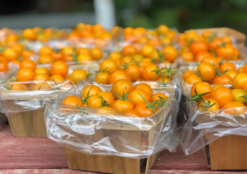 purchase order for tomatoes in baskets