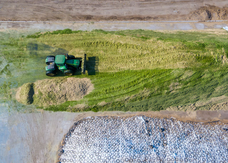 corn silage pile compacted