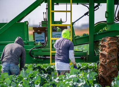 Farm labor challenges in Ag