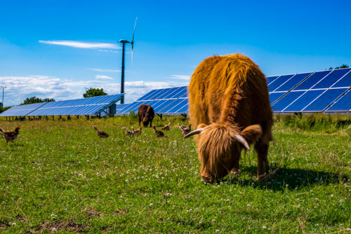 Sustainable farming and diversity