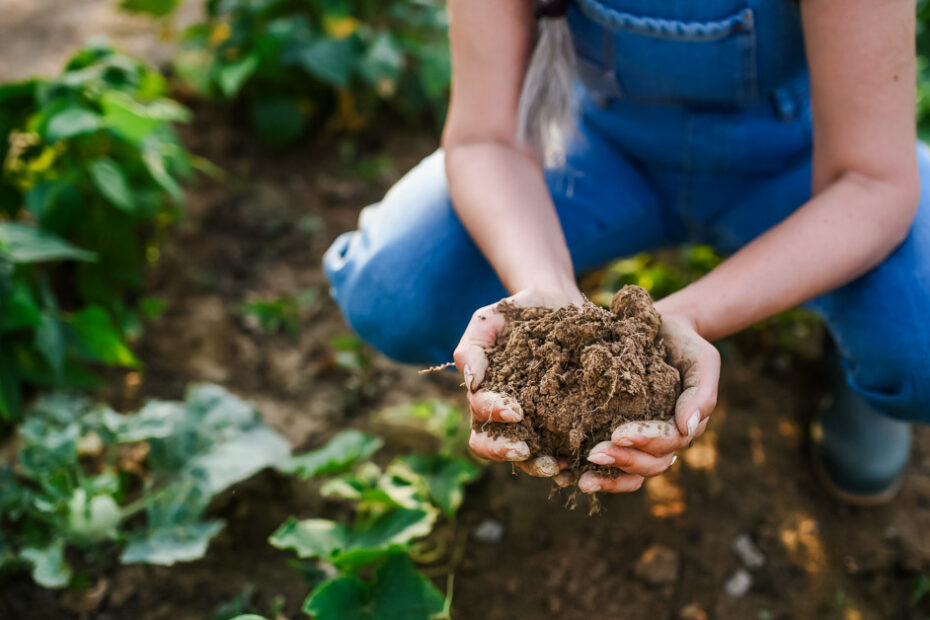 Regenerative farming practices for better soil and climate health