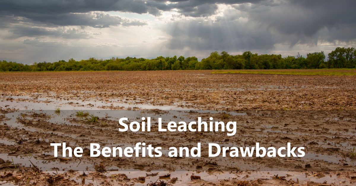 Soil Leaching The Pros and Cons You Need to Know AgNote