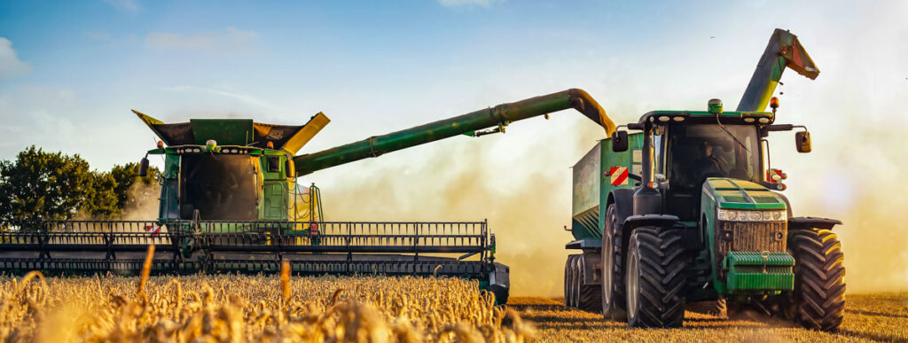 Wheat harvest in Canada