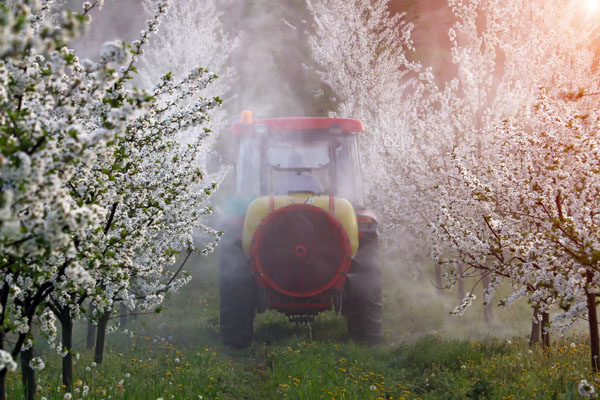 spring insecticide spraying
