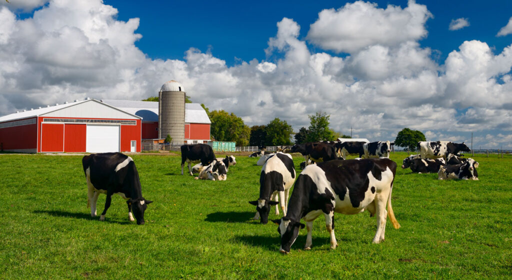 Farm management software Canada
