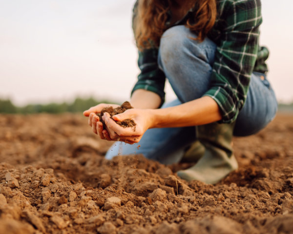 Farm task management soil testing