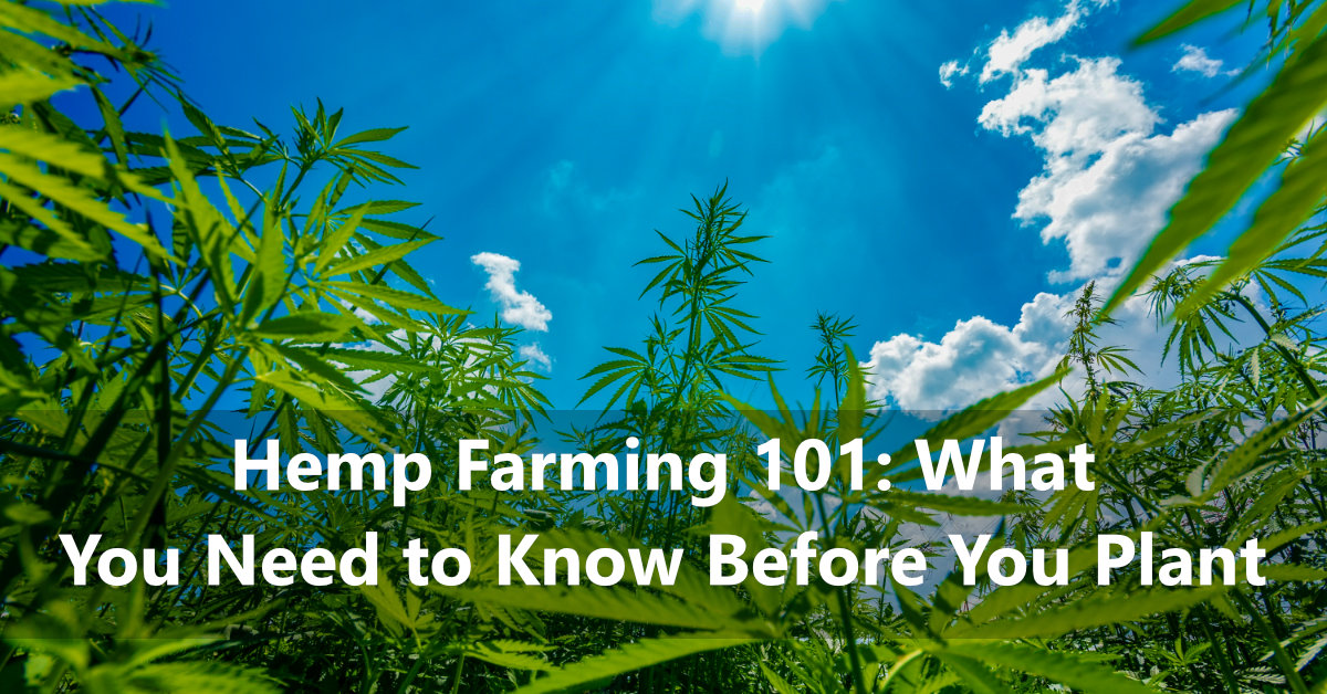 Hemp Farming 101: What You Need to Know Before You Plant | AgNote