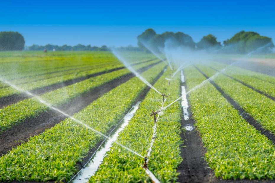 Importance of precise irrigation tracking