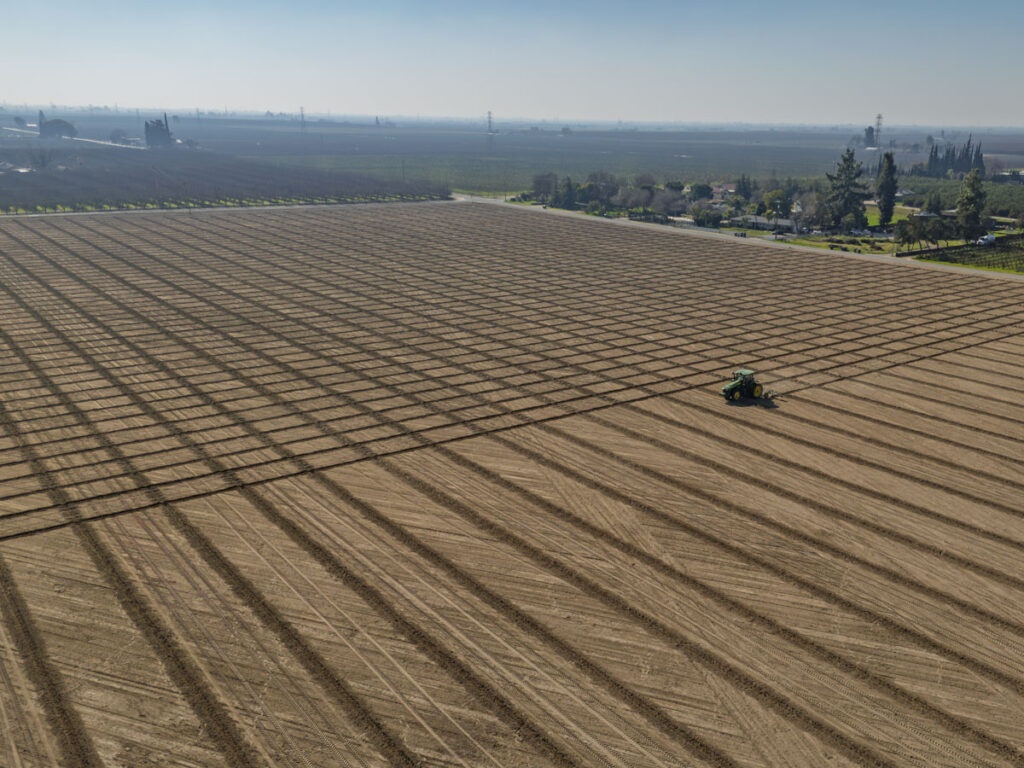 Orchard planning and tree row marking