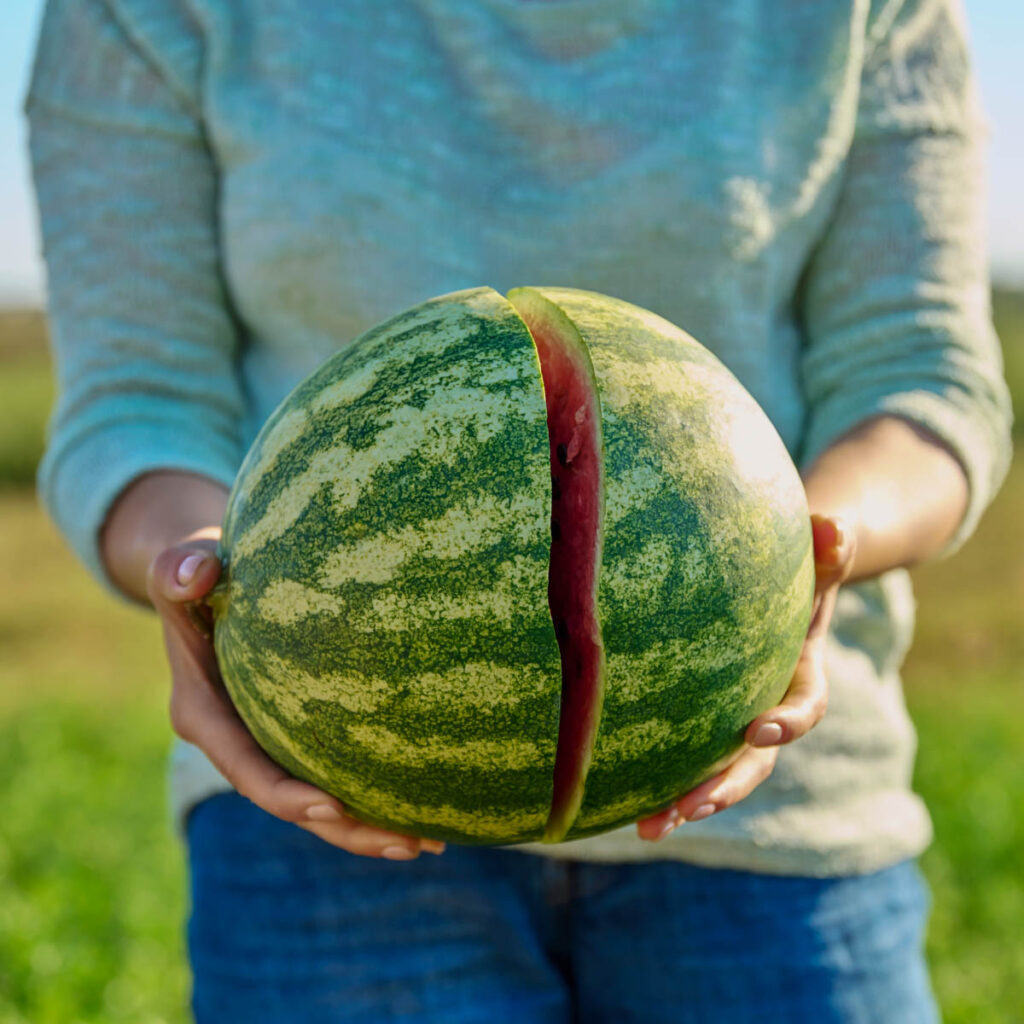 Person celebrating watermelon day